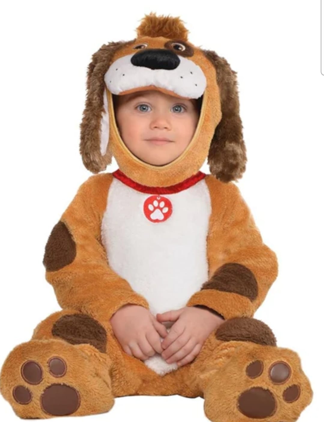 Playful Pup Costume
